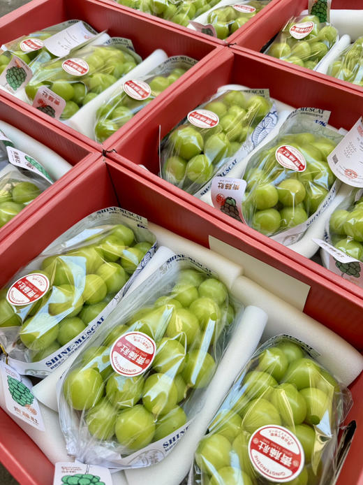 青藤社®晴王＃日本苗云南种，颗粒大，圆润饱满，口感脆爽，甜而香！ 商品图3