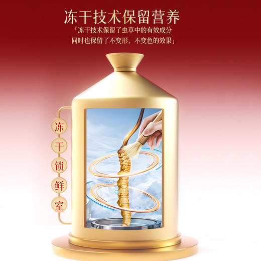 雷允上冬虫夏草8g（1g*8瓶）/盒 商品图9