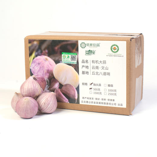 云南有机紫皮独头大蒜 2026年鲜蒜果肉饱满蒜香浓郁凉拌红烧500g起 商品图6