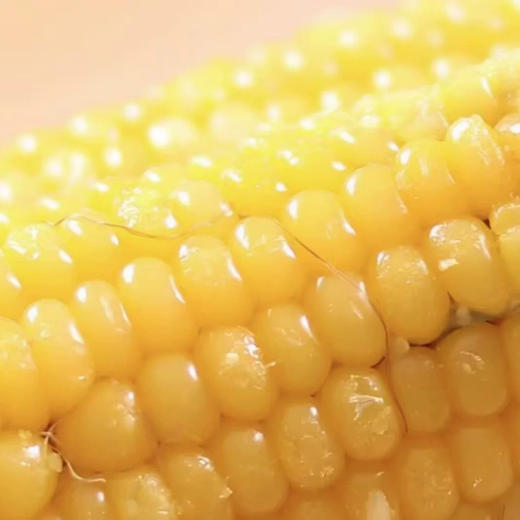 东北新粘糯玉米 一单包邮 商品图5