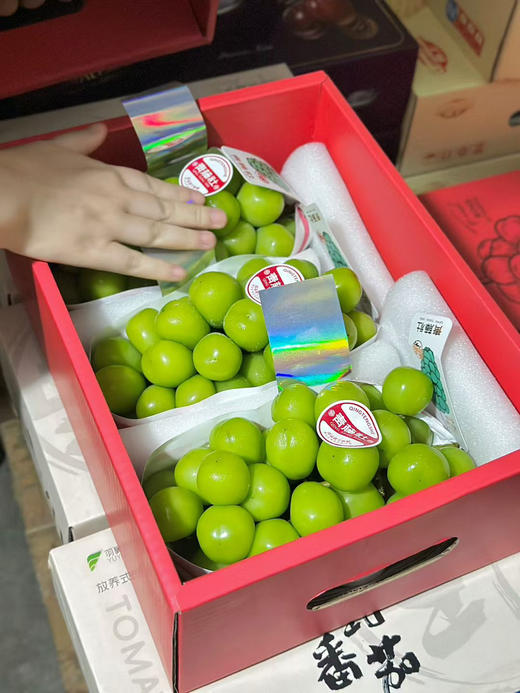 青藤社®晴王＃日本苗云南种，颗粒大，圆润饱满，口感脆爽，甜而香！ 商品图2