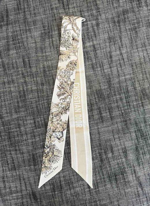 女款Twilly丝巾010 商品图0