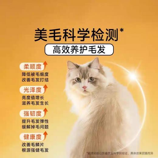 诚实一口 烘焙猫粮 小金袋 1.8kg/包 商品图5