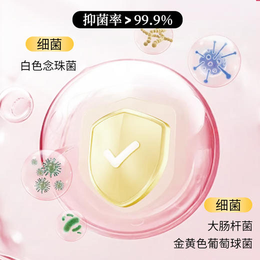 【守护健康！5盒装巨划算！】舒奈美雪莲私护湿巾 女性姨妈期 男女私处抑菌清洁湿纸 独立包装湿巾 商品图2