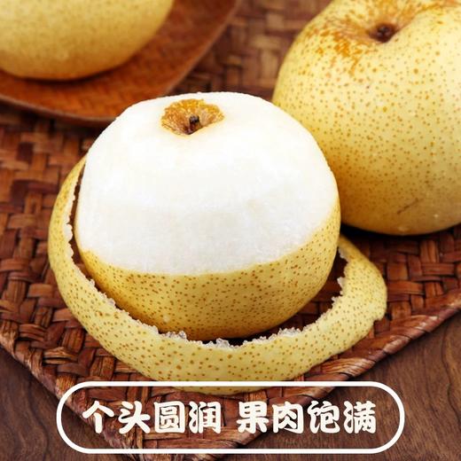 【39购5斤】山西女皇蜂蜜贡梨丨果肉饱满多汁 皮薄肉厚 商品图2