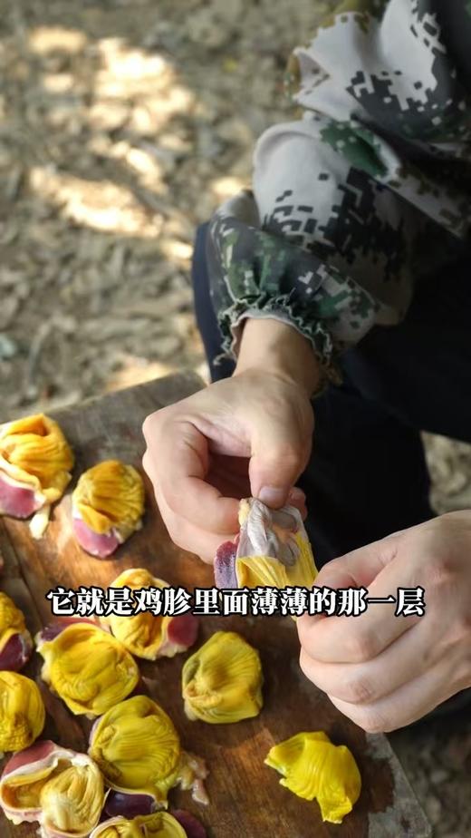 【活动：3斤送半斤 直降20】鸡内金（跑山鸡） 商品图2