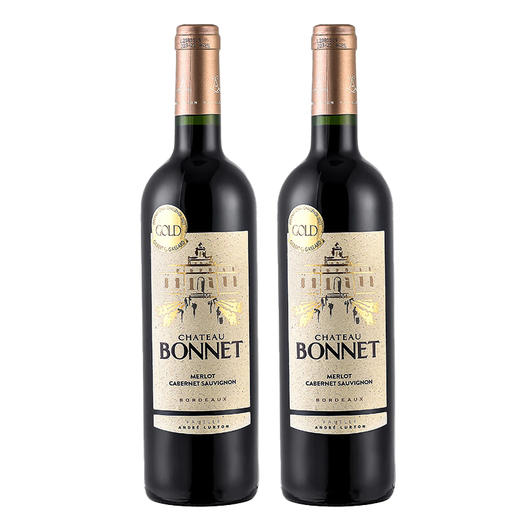 法国鲁顿勃纳城堡干红葡萄酒（双支带皮盒）750ml*2【LXGWDX4.0】 商品图0