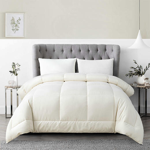 雅兰家纺暖心冬厚被芯 商品图1