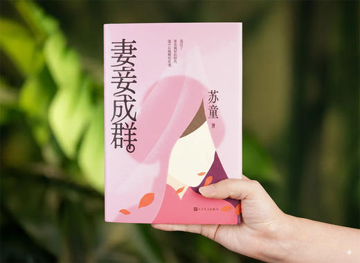 【茅盾文学奖作品】苏童人性三书（赠黄雀记亲笔签名版） 商品图6