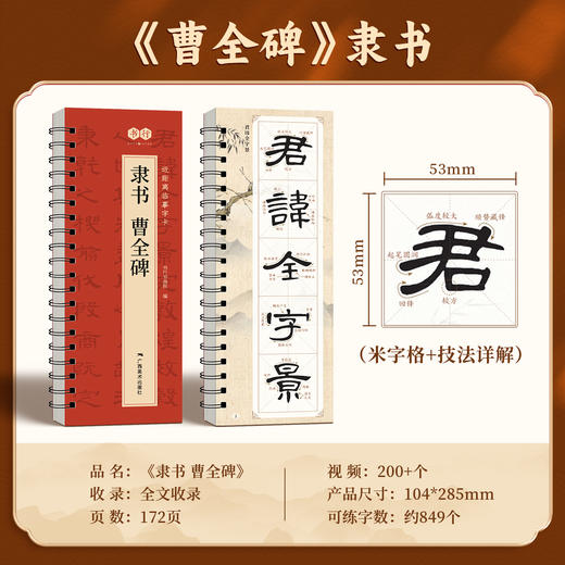 【近距离临摹字卡】毛笔字帖书法入门王羲之行书宋徽宗瘦金体千字文曹全碑隶书赵孟頫胆巴碑经典高清修复放大原碑帖字帖 商品图7