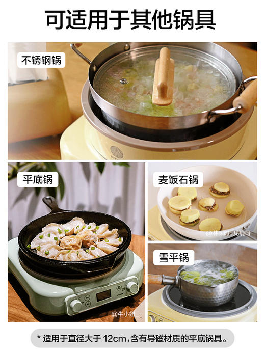 北鼎电磁炉L651家用全自动智能预约火锅炒菜多功能小型炉buydeem 商品图2