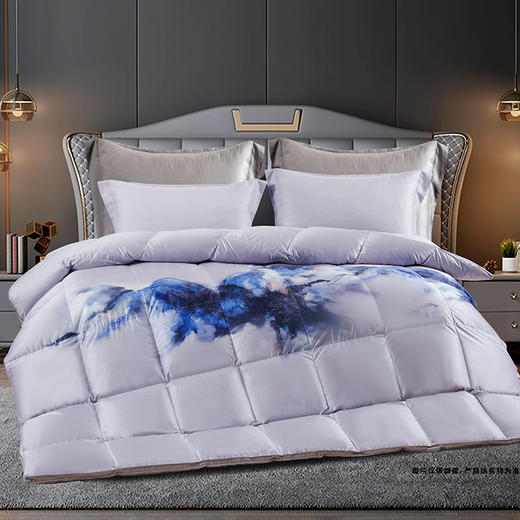 鑫缘 御绒系列数码印花白鹅朵朵绒被 EYBA 商品图0