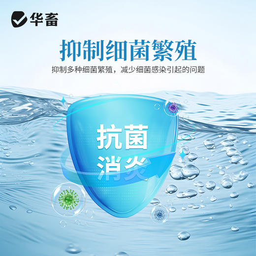 华畜盐酸土霉素鱼药烂身烂尾蒙眼白点水霉鱼缸杀菌观赏鱼调节水质 商品图2