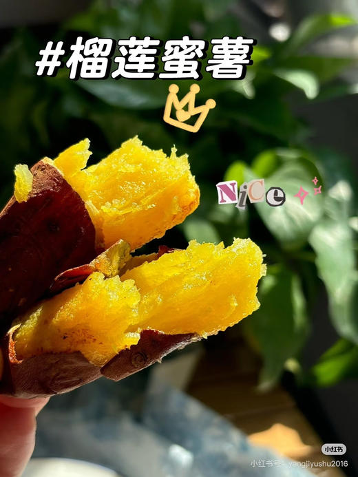 团购特价：一件10袋榴莲蜜薯75（成件价格，每天下午4点到店） 商品图7