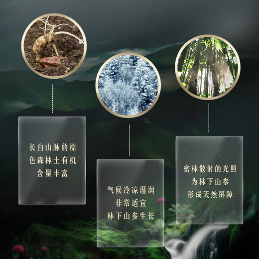 劲牌持正堂10年林下参礼盒 商品图2