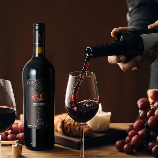 岸珀大美三晋典藏2021干红葡萄酒 商品图3