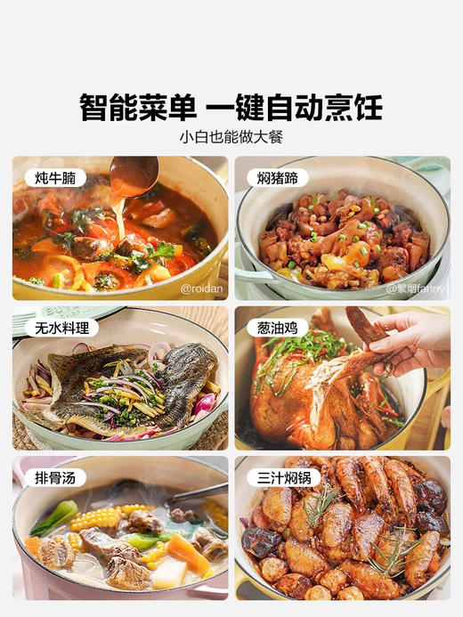 北鼎电磁炉L651家用全自动智能预约火锅炒菜多功能小型炉buydeem 商品图3