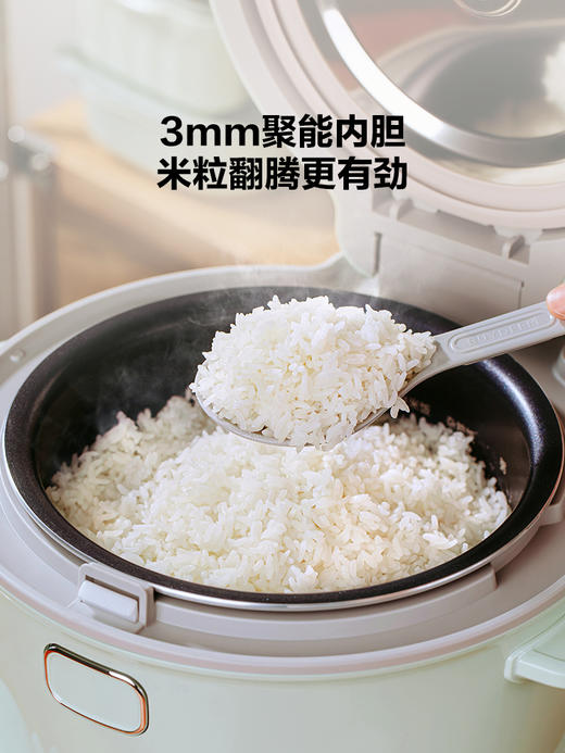 北鼎电饭煲家用3升IH变频加热多功能烹饪机煮饭锅分体式RD5731 商品图1