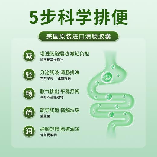 GTTOE清肠胶囊2周清畅益生元益生菌 商品图5