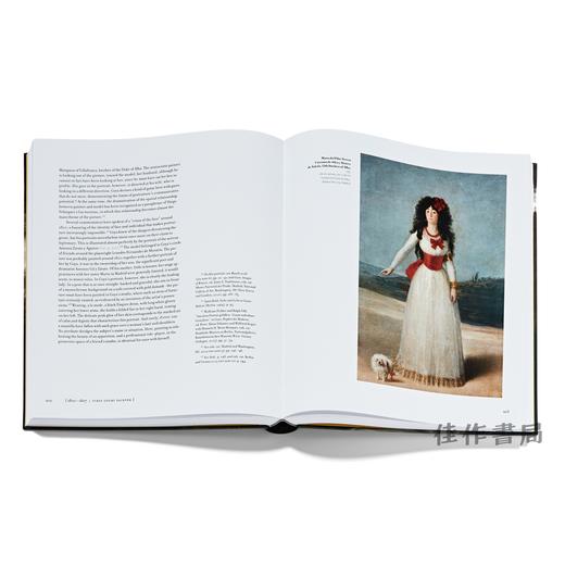 Francisco De Goya / 弗朗西斯科·德·戈雅 贝耶勒基金会 商品图4