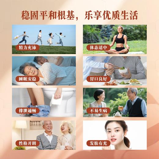 万岁茶-枸杞山楂桑枣茶 商品图1