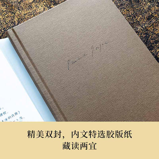 【乔伊斯精选集】都柏林人（ 乔伊斯仅有短篇小说集，西方文学史上的名篇；十五部短篇，宛若一幅印象主义画作，苍凉之中偶现温情；专业英语译者徐晓雯译本，译文精心打磨） 商品图4