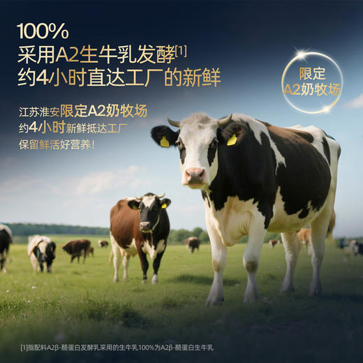 【双旦礼遇季】HMO婴标奶酪酸奶70g*8袋（原味/西梅味）自有乳品工厂生产婴标酸奶 商品图8