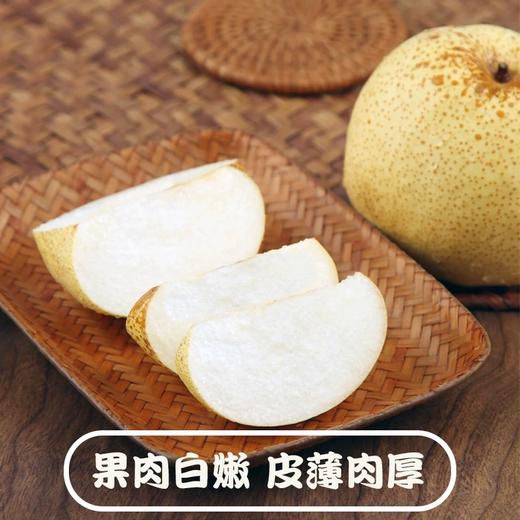 【39购5斤】山西女皇蜂蜜贡梨丨果肉饱满多汁 皮薄肉厚 商品图1
