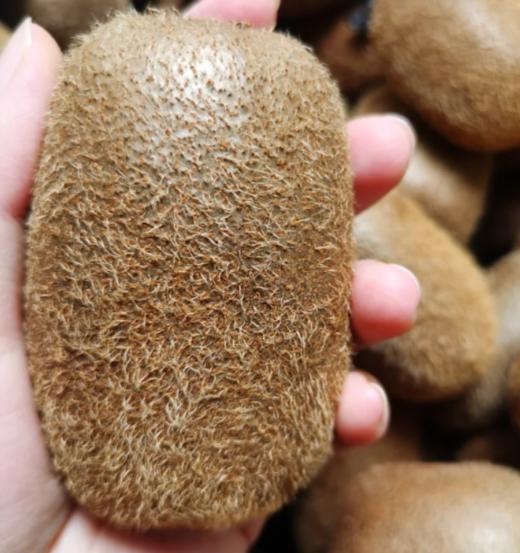 修文贵长猕猴桃礼盒装【GY】 商品图0