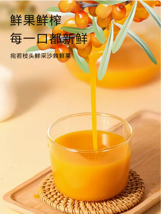 青海苏弥山沙棘原浆袋装210ml 商品图2