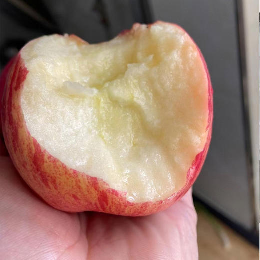 国家地理标志产品·洛川苹果红富士苹果 鲜爽脆嫩 直击味蕾 商品图7