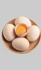 新鲜鸡蛋30枚/板【GY】 商品缩略图1