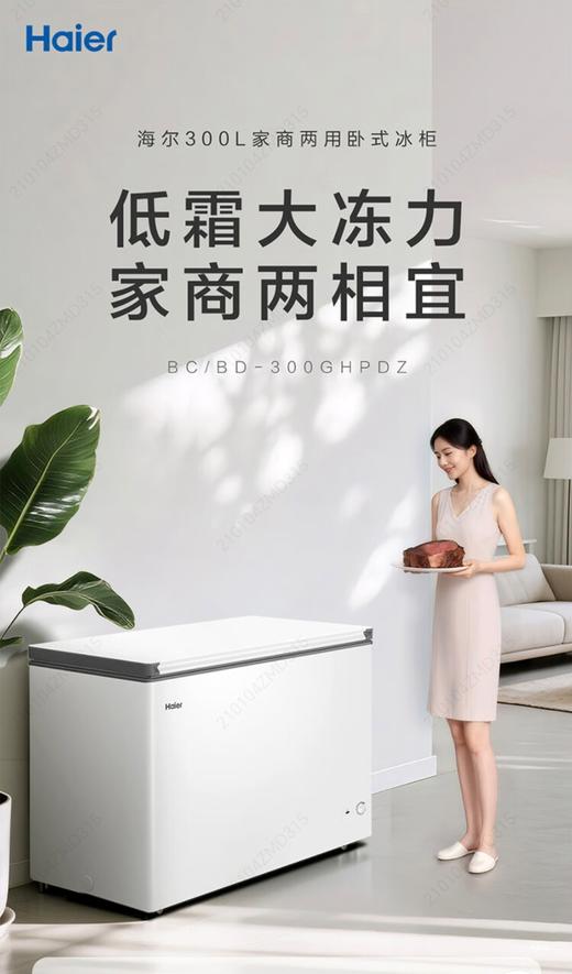 5楼京东家电海尔冰柜300升 商品图0