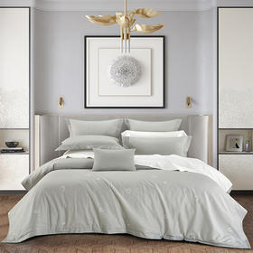 雅兰家纺XW364云梦全棉床单四件套（203*230cm）