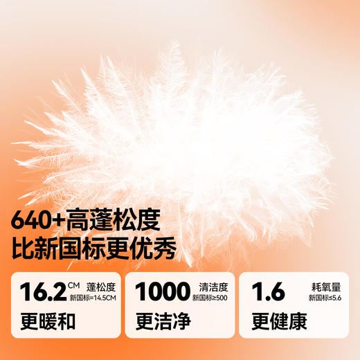 男女童中长款羽绒服冬季新款安奈儿童装EM545511 商品图2