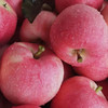国家地理标志产品·洛川苹果红富士苹果 鲜爽脆嫩 直击味蕾 商品缩略图10