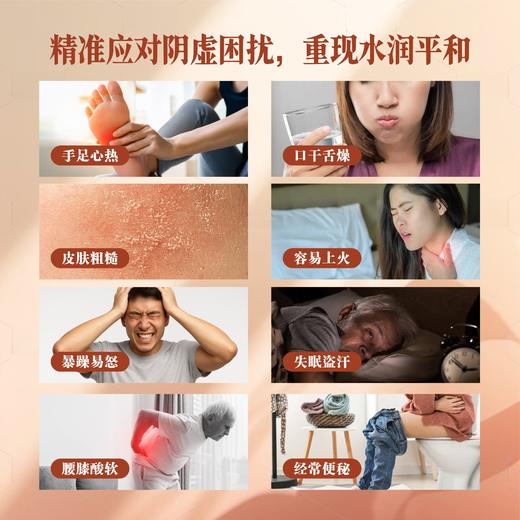 滋水茶-铁皮石斛玉竹西洋参茶 商品图1