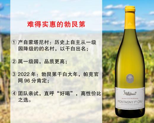 【现货特促，整箱更优惠】勃艮第百年精品酒庄：沐榆酒庄蒙塔尼一级园干白（2022年） 商品图0