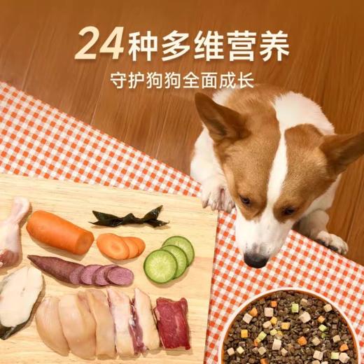 诚实一口 七拼冻干 狗粮 成幼犬通用1.45kg/包 商品图3