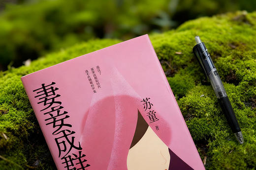 【茅盾文学奖作品】苏童人性三书（赠黄雀记亲笔签名版） 商品图2