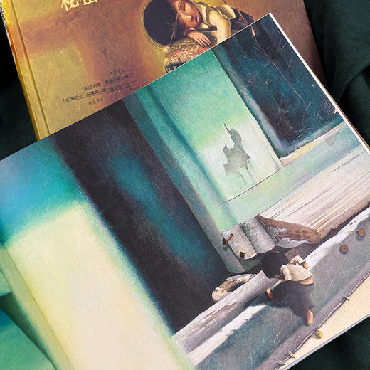 拇指男孩的秘密日记 我等你作者绘本天后海贝卡暗黑美学 商品图3