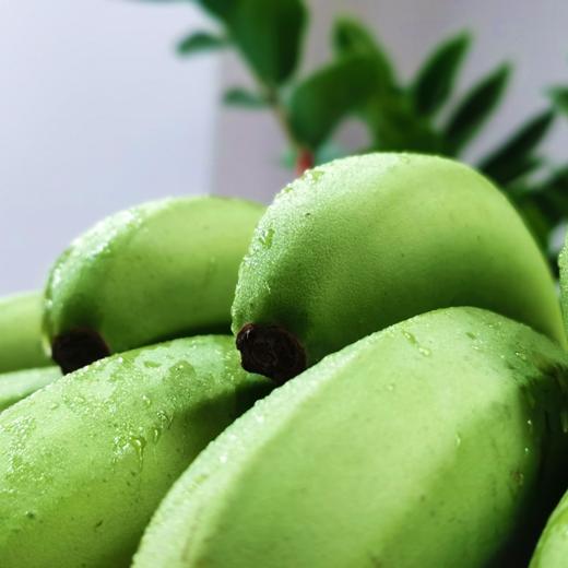 【高州香蕉】现摘现发，自然催熟更健康 商品图0