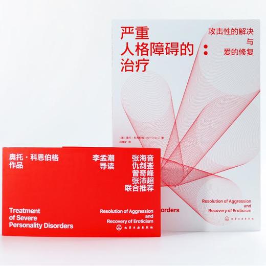 严重人格障碍的治疗：攻击性的解决与爱的修复 商品图4