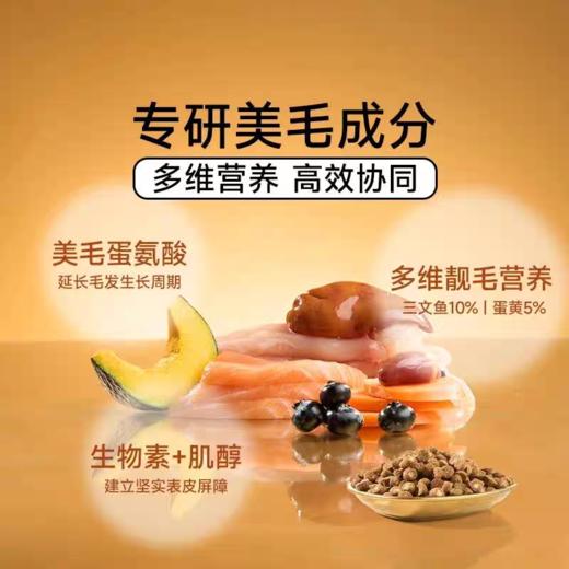 诚实一口 烘焙猫粮 小金袋 1.8kg/包 商品图3