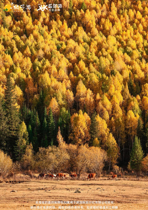【疆韵南北行】深度全景双飞单动单卧/三飞单动10日游 商品图2