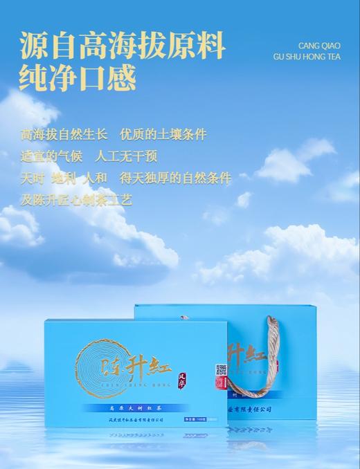 【会员日直播】2025年陈升红风华大树金芽/黑条红茶  100克/盒 商品图1