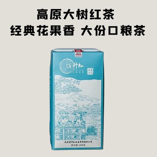 【会员日直播】2025年陈升红美惠久久大树金芽红茶  400克 商品图0
