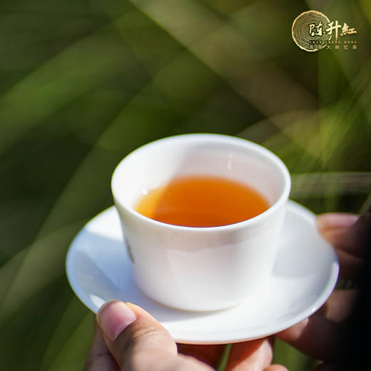 【会员日直播】2024年陈升红来一罐大树金芽红茶 商品图2