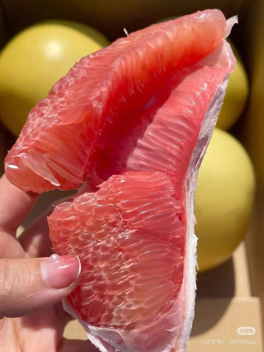 礼盒装阿诗露柚 商品图7