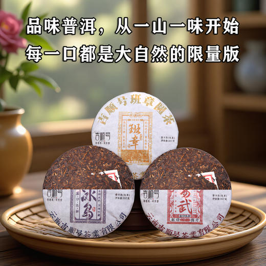 三大名山组合 班章 冰岛 易武 357克*3饼 一套集齐三大名山 商品图0